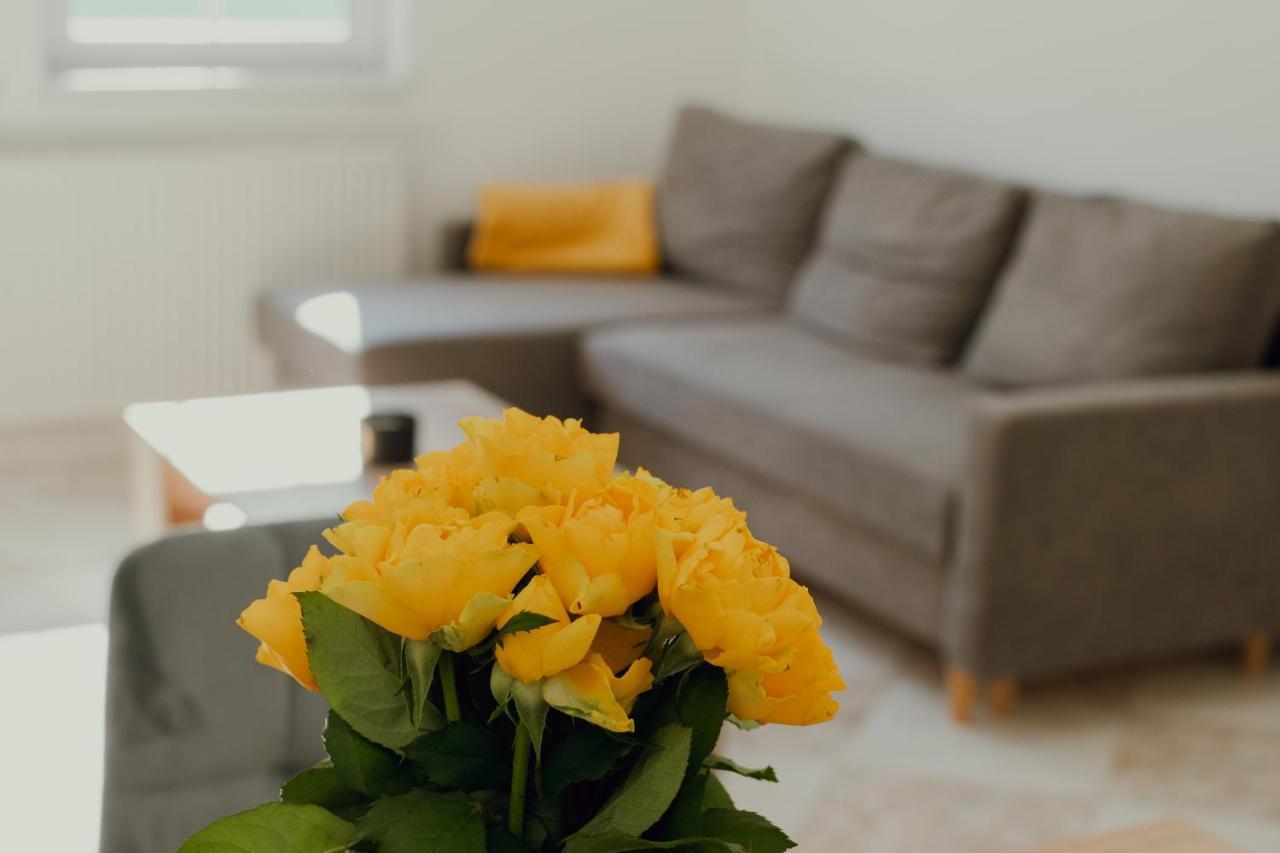 Apartman Emily Brezno Luaran gambar